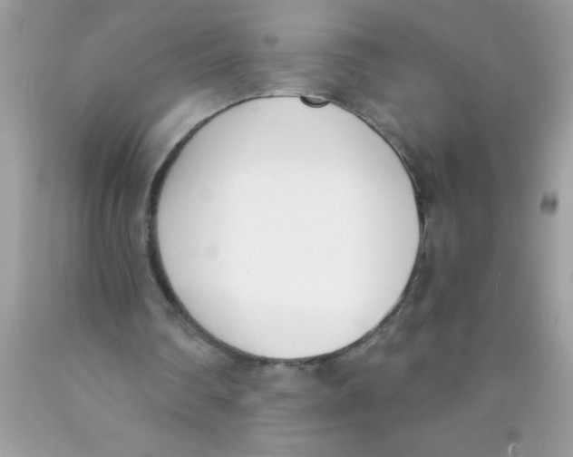 X0000089850290200707262113