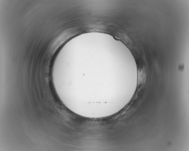 X0000089850291200707262113