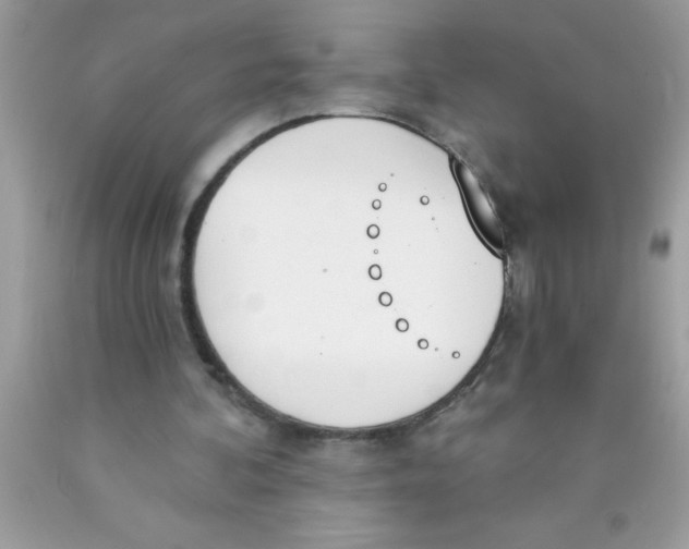 X0000089850292200707262113