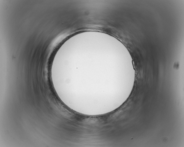 X0000089850294200707262113