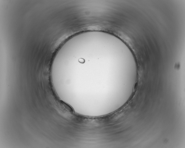 X0000089850297200707262113