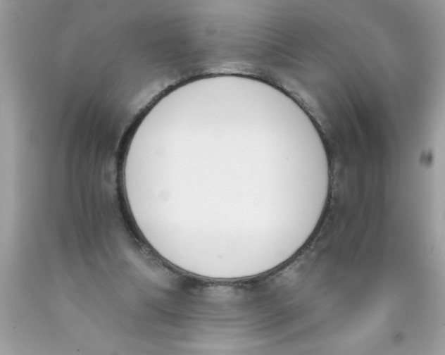 X0000089850298200707262113