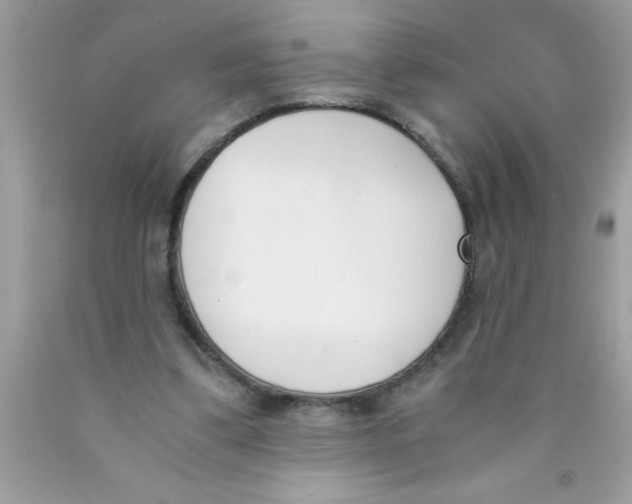 X0000089850299200707262113