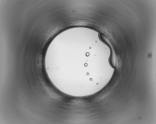 X0000089850300200707262113