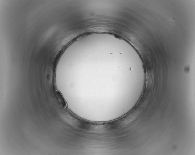 X0000089850301200707262113