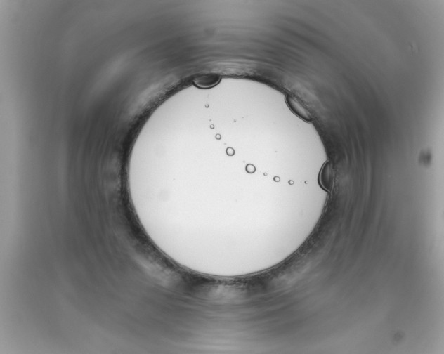 X0000089850303200707262113