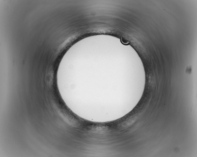 X0000089850304200707262113