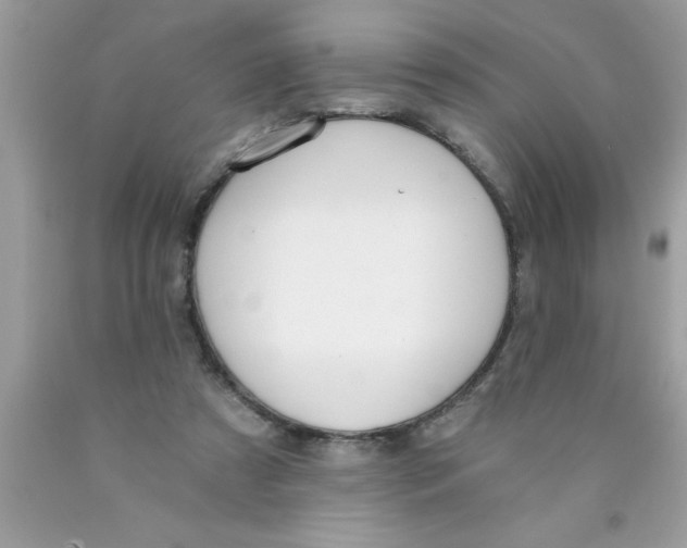 X0000089850305200707262113