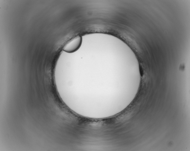 X0000089850306200707262113