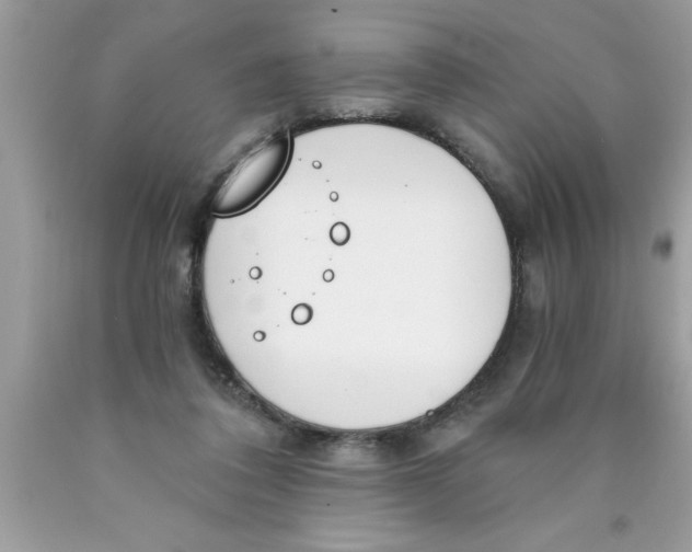 X0000089850308200707262113