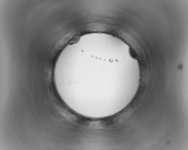 X0000089850309200707262113