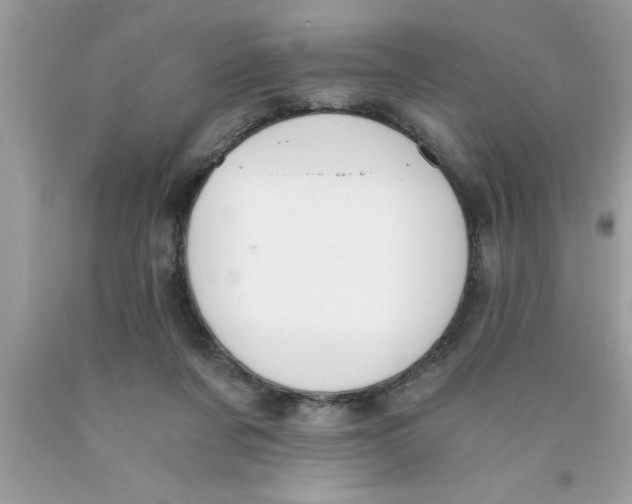 X0000089850311200707262113