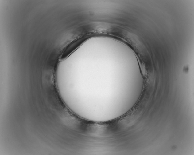 X0000089850313200707262113