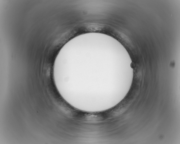 X0000089850315200707262113