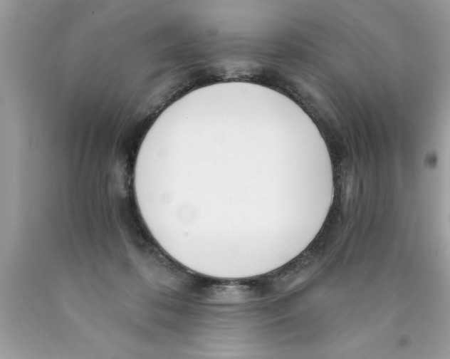 X0000089850316200707262113