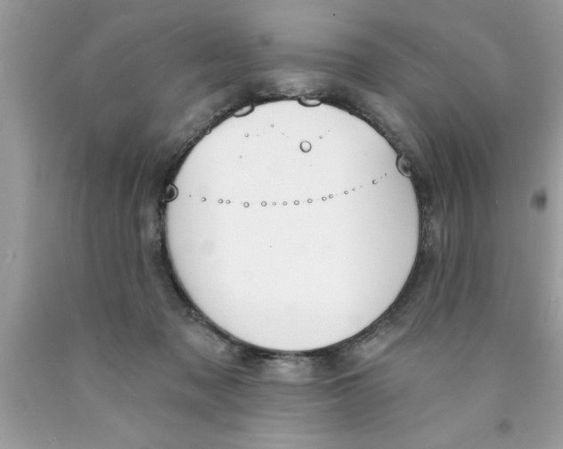 X0000089850317200707262113