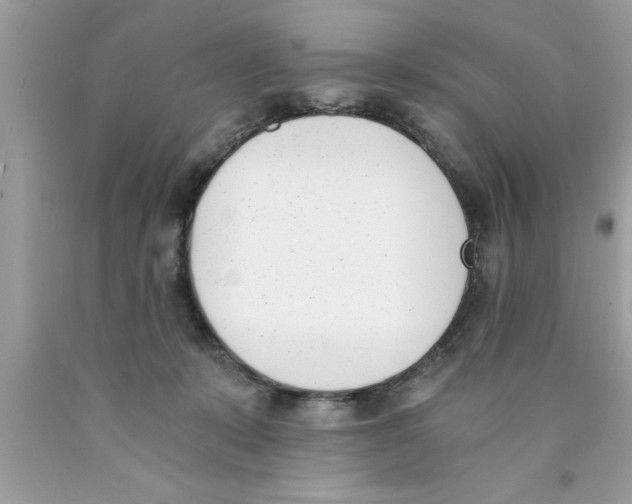 X0000089850319200707262113