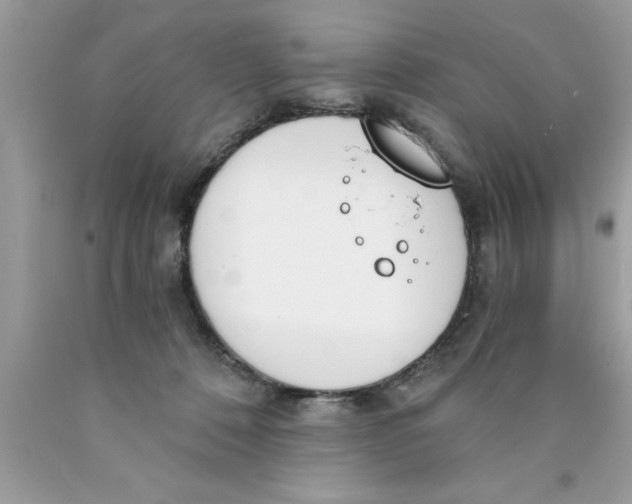 X0000089850320200707262113