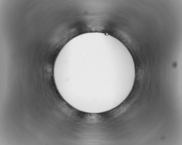 X0000089850321200707262113