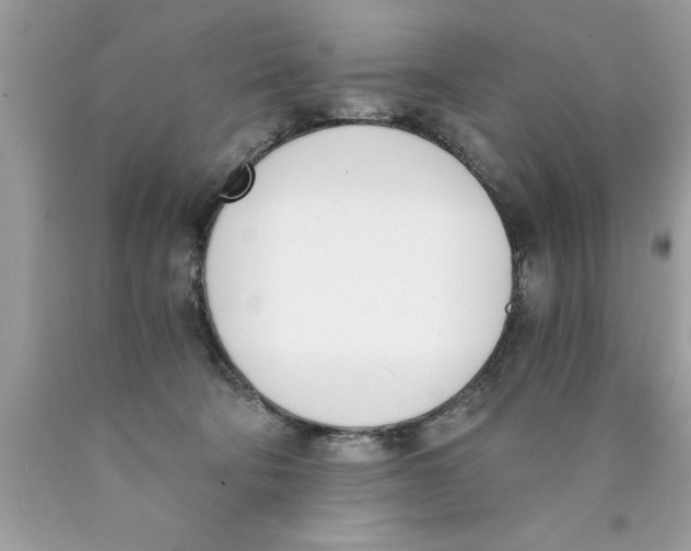 X0000089850322200707262113