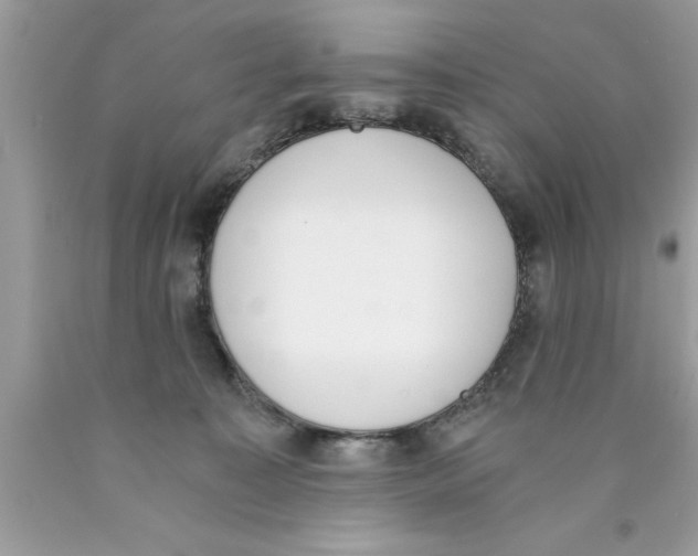 X0000089850323200707262113