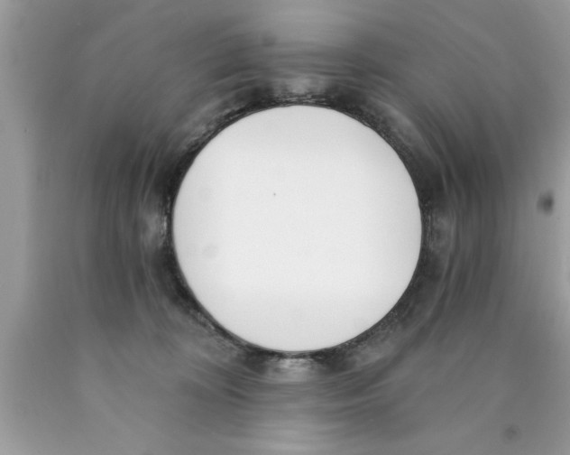 X0000089850324200707262113