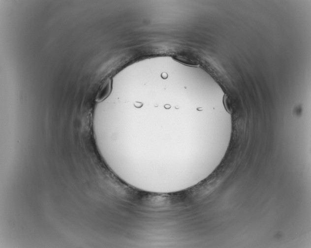 X0000089850325200707262113