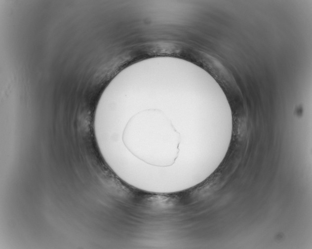 X0000089850326200707262113