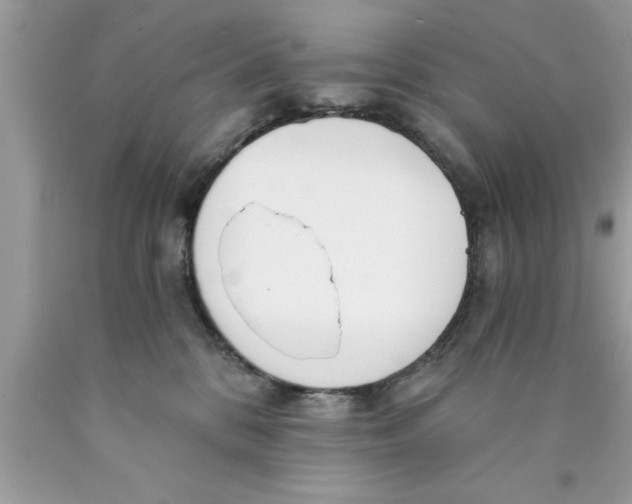 X0000089850328200707262113