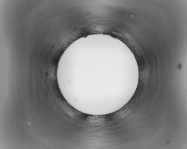 X0000089850331200707262113