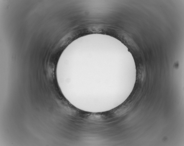 X0000089850332200707262113