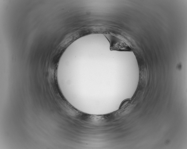 X0000089850333200707262113