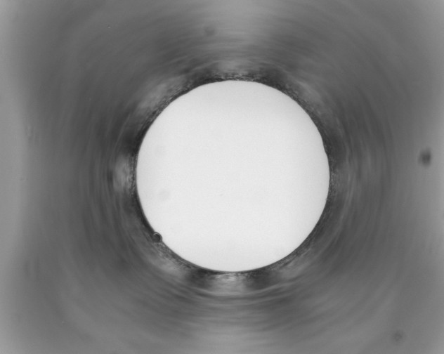 X0000089850335200707262112