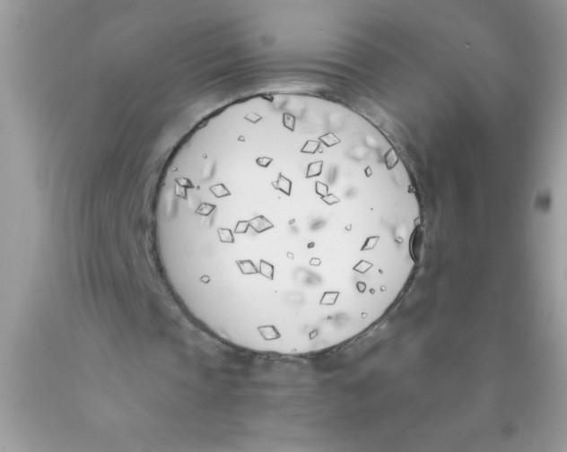 X0000089850337200707262112