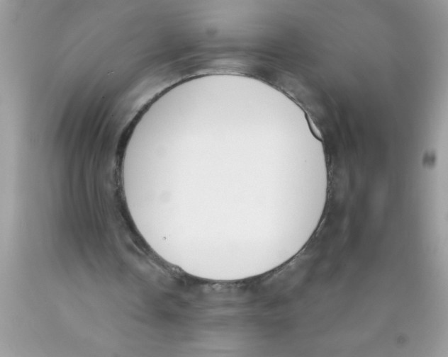 X0000089850338200707262112