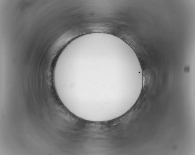 X0000089850339200707262112