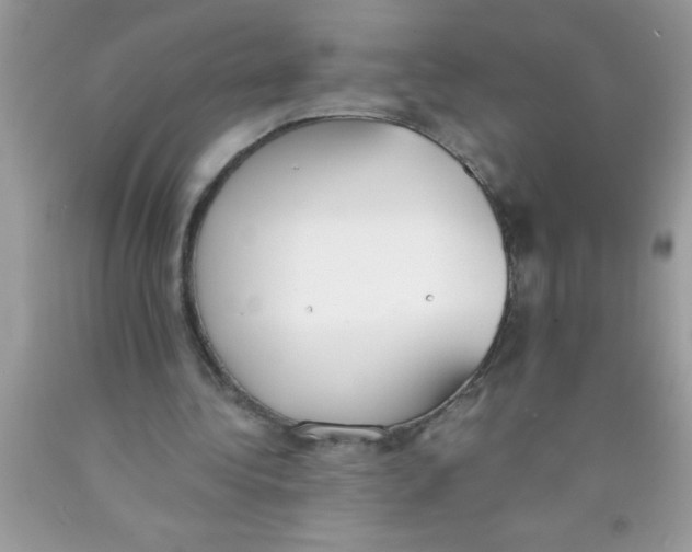 X0000089850340200707262112