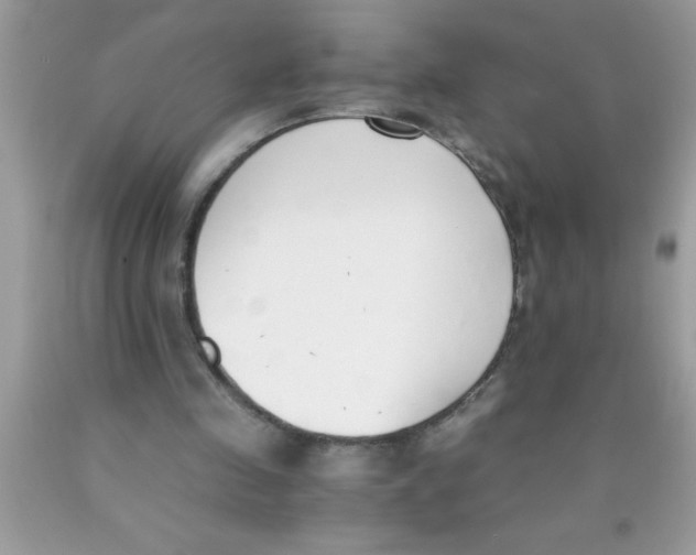 X0000089850341200707262112