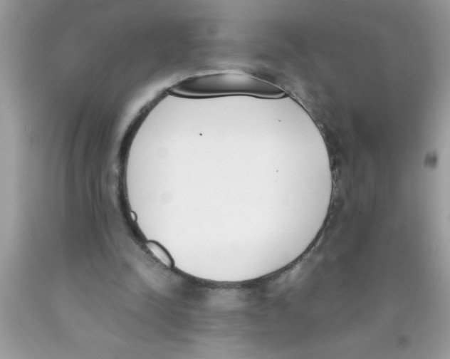 X0000089850342200707262112