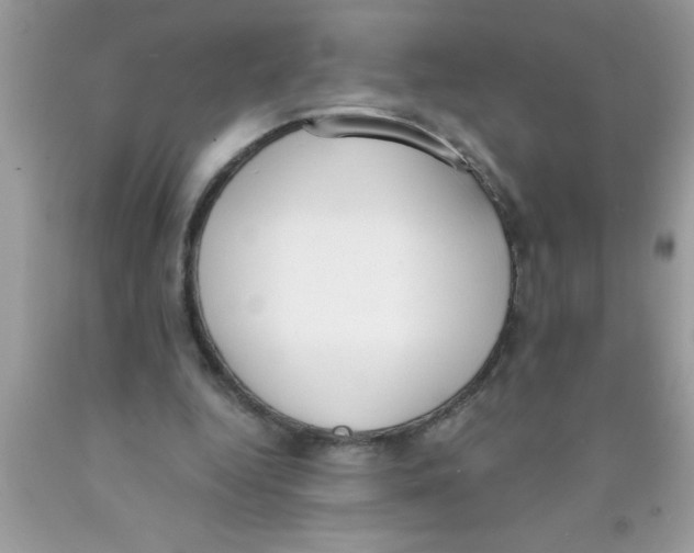 X0000089850344200707262112