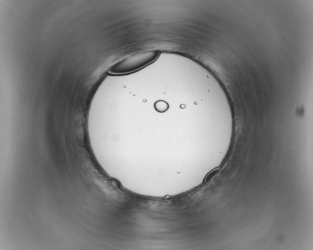 X0000089850345200707262112