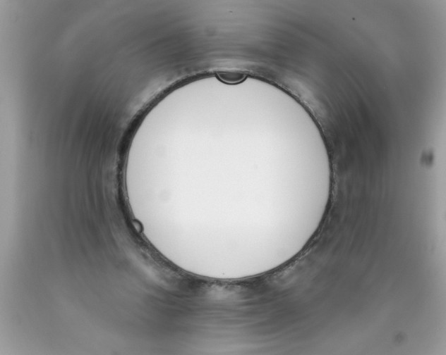 X0000089850346200707262112