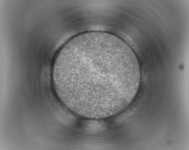 X0000089850347200707262112