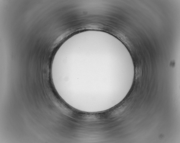 X0000089850349200707262112