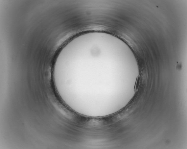 X0000089850350200707262112