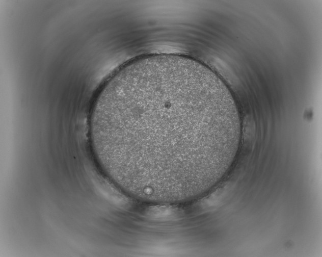 X0000089850351200707262112