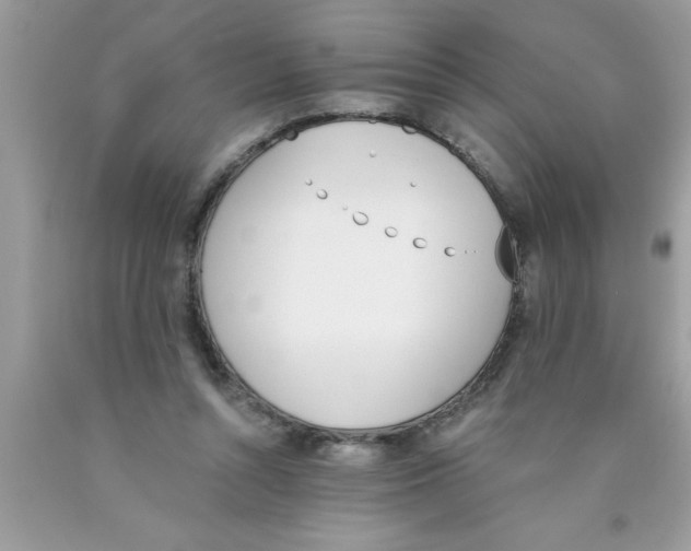 X0000089850352200707262112