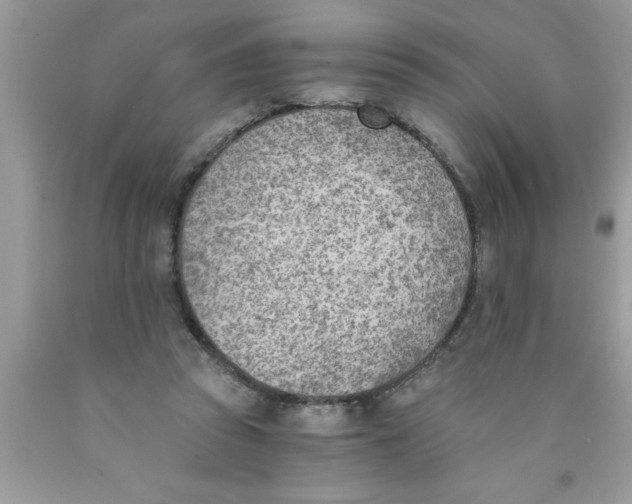 X0000089850353200707262112