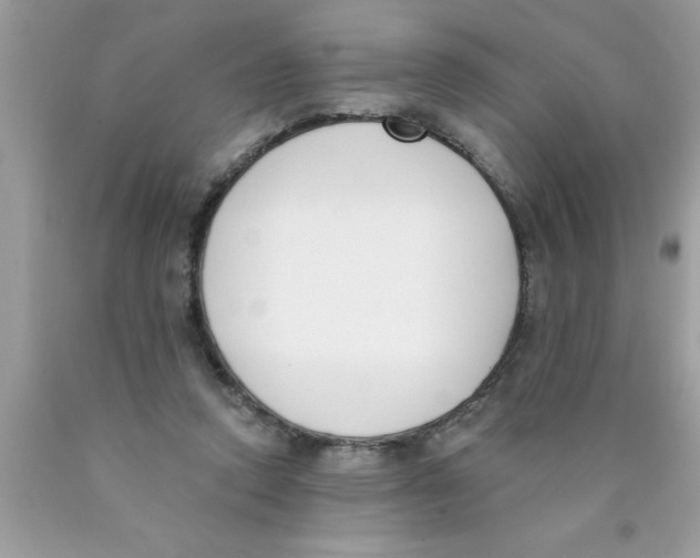 X0000089850354200707262112