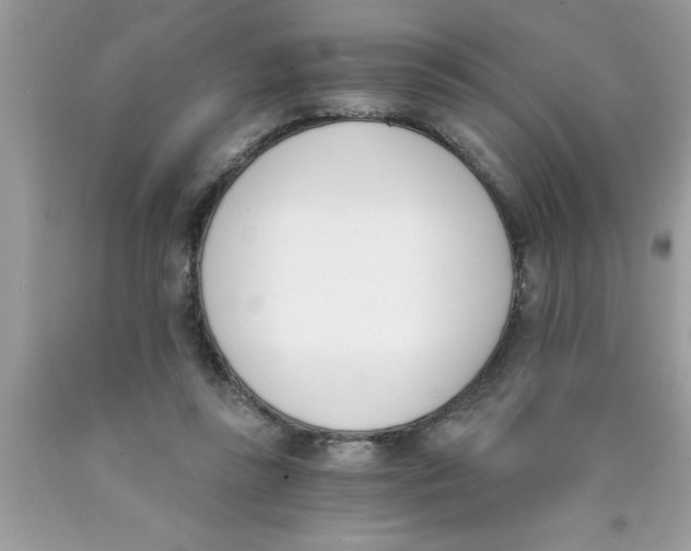 X0000089850355200707262112